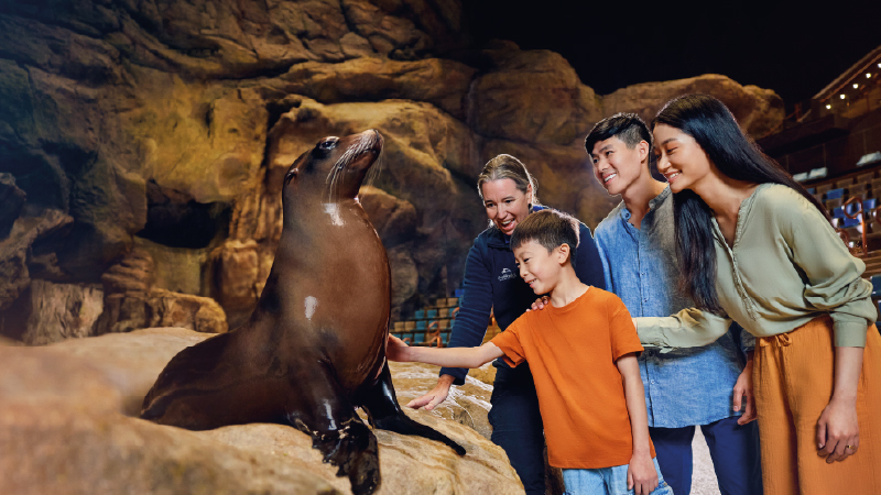 Teen girl with SeaWorld marine specialist interacting with a harbor seal