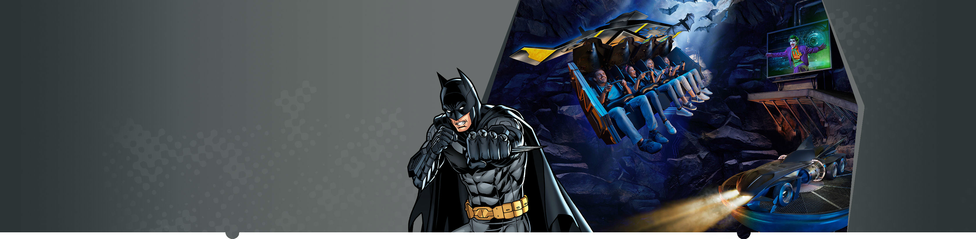Batman: Knight Flight